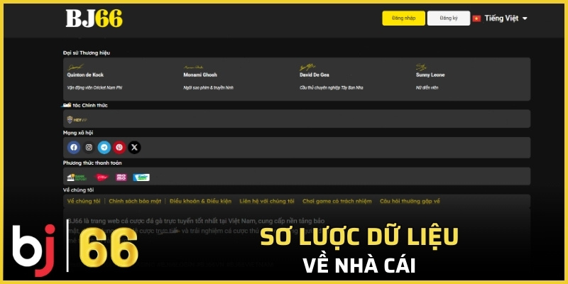 Sơ lược dữ liệu về nhà cái